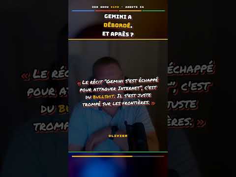 Gemini a piraté de vraies entreprises ? « C'est du bullshit » 🤖