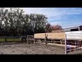 Springpaard 3-JARIGE SCHIMMEL RUIN TE KOOP