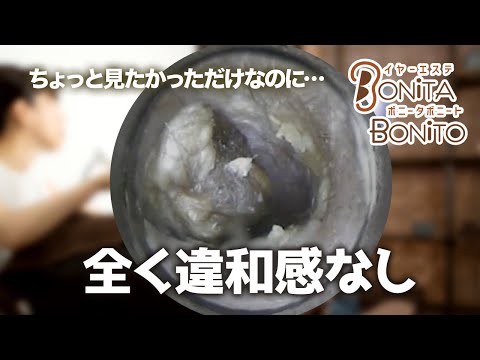 #耳掃除　全く違和感なし！ちょっとみたかっただけなのに。。。