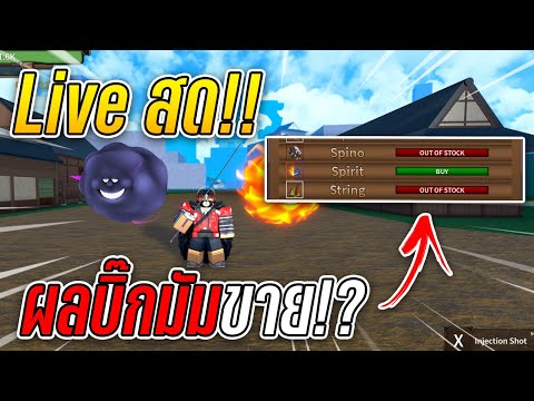 🔴-Live-|-King-Legacy-|-อยากได้ 🔴-Live-|-King-Legacy-|-อยากได้