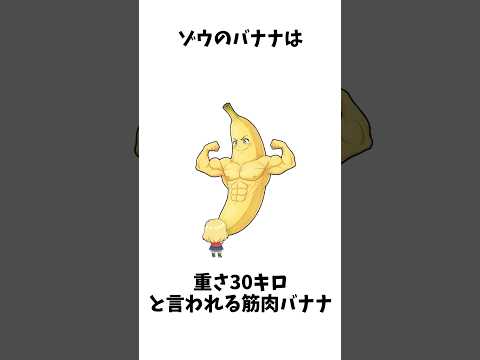 動物のバナナ雑学2【ゆっくり解説】#shorts #雑学 #豆知識