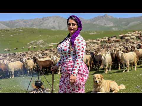 Iran Nomadic Daily Life | Village and Mountain Routine in the Alborz Mountains