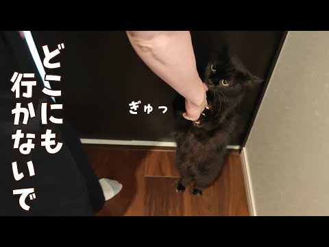 病院で検査を受けるママが心配で離れたくない猫