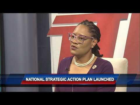 National Strategic Action Plan Launched