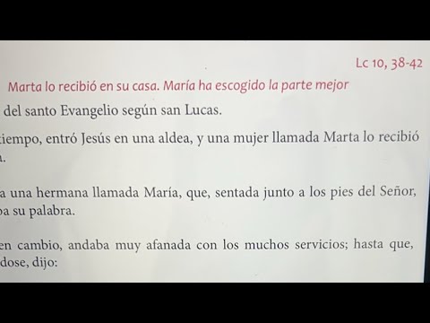 Evangelio martes XXVII (2024)