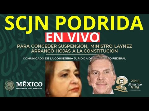 SCJN! ARRANCÓ HOJAS A LA CPEUM! CLAUDIA SHEINBAUM EN DIRECTO! DELFINA GOBERNADORA! NOROÑA INCREIBLE!