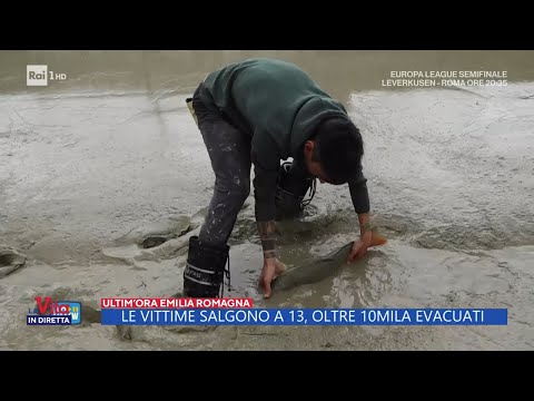 Pesci per i centri abitati dell'Emilia Romagna - La Vita in Diretta 18/05/2023
