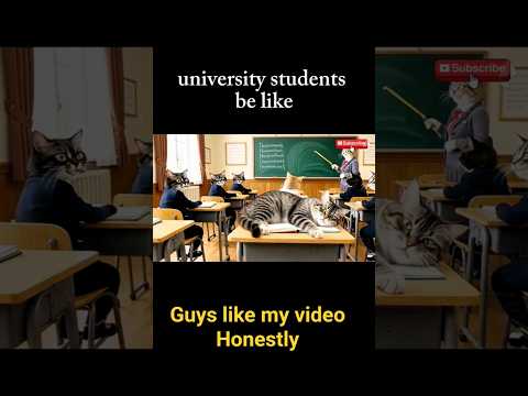 When You’re in University but Naps Come First 😹🎓funny cat videos