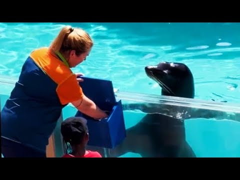 Inspiring the young to be a future conservationist. The adult on the hand will get a cool splash.