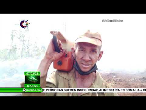 Cuba: Mejor control de incendio en Pinares de Mayarí