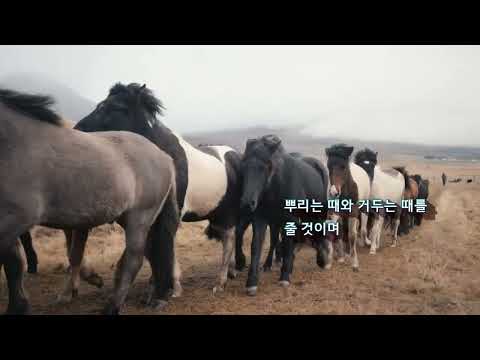 땅의 <strong>노래</strong>