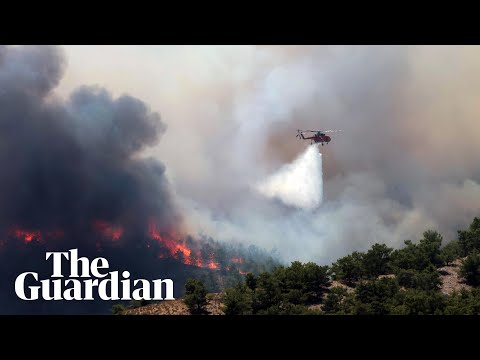 Greece: wildfires rage on three islands and mainland