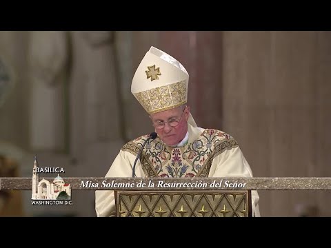 Misa del Domingo de Pascua de Resurreccion Desde Basílica de la Inmaculada Concepción - 2022-04-17 -