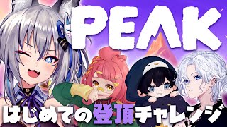 【PEAK】協力して絶望の山を登りきるぞ！【#稲荷いろは/のりプロ所属】