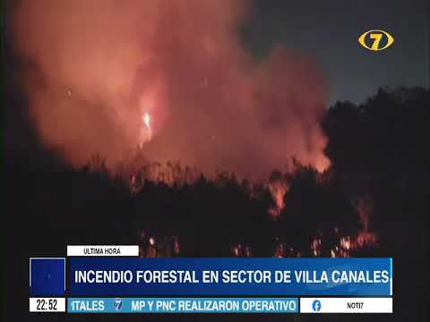 Incendio forestal en sector de Villa Canales