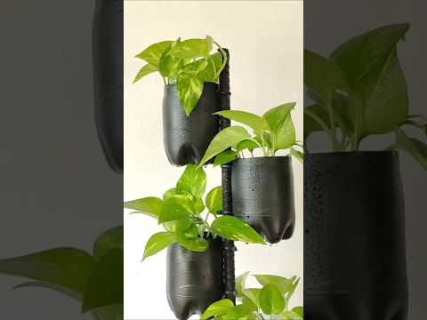 Home Decor Using Plastic Bottles | Easy DIY Craft #plastic bottle craft ideas #garden #shorts
