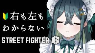 〖 スト6 〗格ゲーってなにからやればいいんですか？〖 十河ののは / にじさんじ 〗