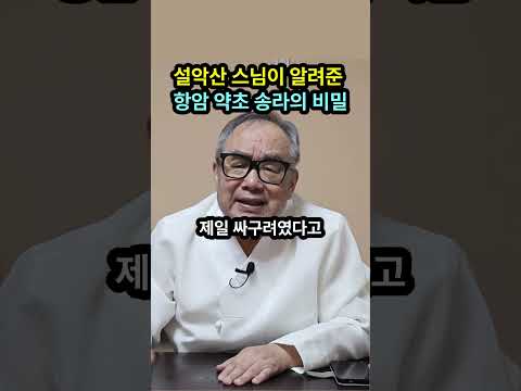 【화타 처방전】<strong>설악산</strong> 꼭대기에서 도망치다 발견한 역대급 보물