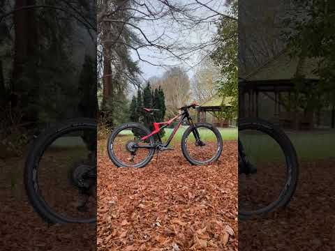 The Orbea Oiz