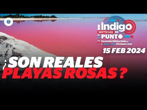 ¡Playas rosadas en México! | Reporte Indigo