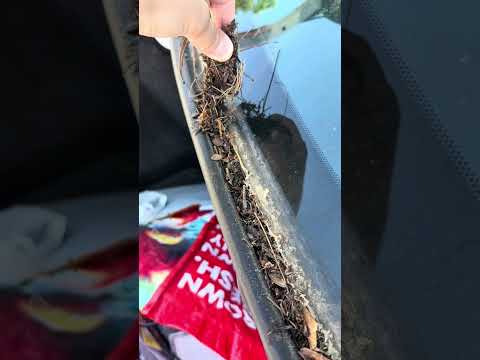 Cleaning my husband’s gross car for fun