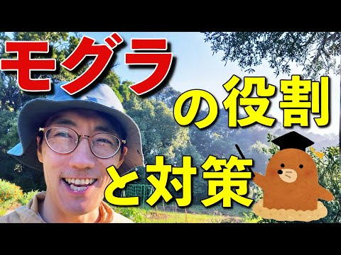 知っておきたいモグラの秘密 - 生態系における役割と対策