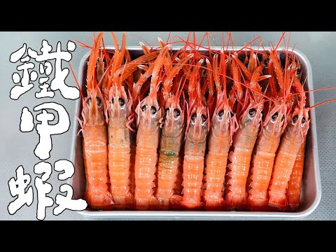 生醃鐵甲蝦能有多美味｜RICOの食材圖鑑