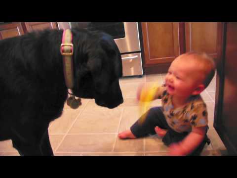 Baby Laughing at Dog