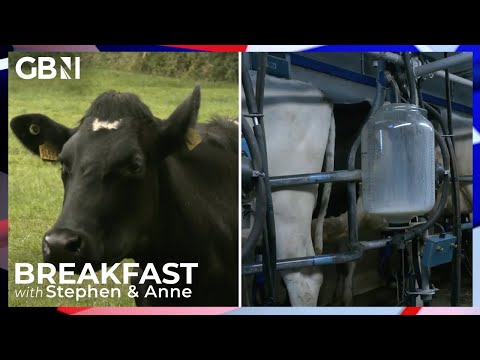 Net Zero on COLLISION COURSE with food inflation and farmers