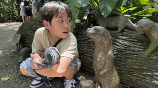 動画サムネイル
