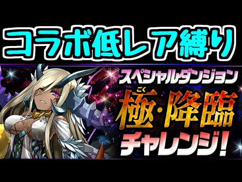 【生放送】低レア度コラボキャラ縛りで極・降臨チャレンジ！【パズドラ】
