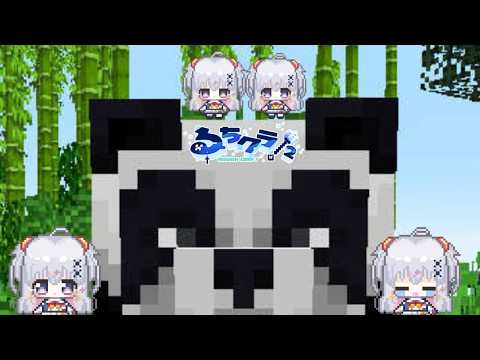【Minecraft #るちクラ2 】パンダを捕まえよう！！【＃Vtuber】