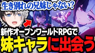 【NTE】自由度の高い新作オープンワールドRPGでシナジーを感じるキャラと出会うかみと【Kamito】