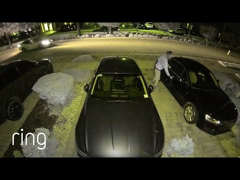 This Stranger Wasn’t So Bold After Being Confronted With Ring's Motion Warning | RingTV