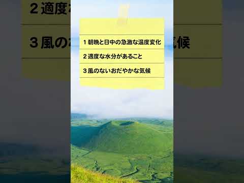 10月11月雲海チャレンジやります！