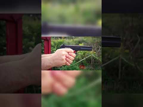 The Underappreciated S&W Model 422