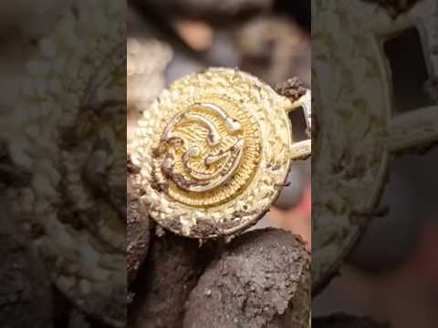 Um achado que vale Milhões!!! 🥵😨😨💰 #foryou