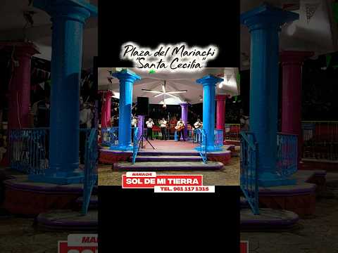 #mariachi #mexico #music #shortsmusic #musicaregional #mariachis #mariachienvivo #tradiciones