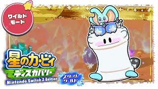 【＃9】　星のカービィ ディスカバリー スターリーワールド/Kirby and the Forgotten Land Star-Crosse