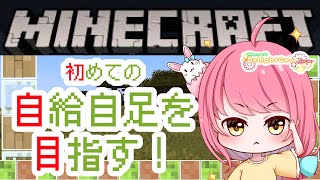 【Minecraft】一面氷だらけだけど…初めての自給自足を目指す！！！【 お絵描きVtuber 七海仁美 】#delightgearsea