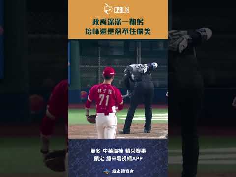 #CPBL #戴培峰 被 #林子昱 一顆147公里快速球砸在了背上 #張政禹 換局深深一鞠躬裝兇的培峰還是忍不住偷笑啦 #味全龍 #富邦悍將 #shorts