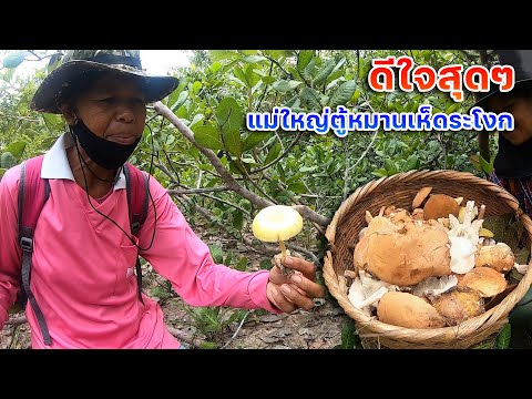 ดีใจสุดๆ-แม่ใหญ่ตู้หมานเห็ดระโ ดีใจสุดๆ-แม่ใหญ่ตู้หมานเห็ดระโ
