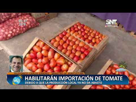 Desde hoy habilitarán importación de tomate
