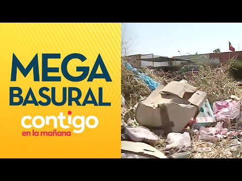 MALOS OLORES: Vecinos viven frente a mega basural en Conchalí - Contigo en La Mañana