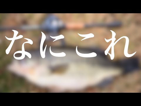 遂にシーズンイン。いきなり凄いのが出ました・・。
