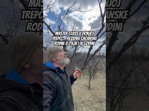 U Gornjoj Trepči 7.3. Master class i radionca koju vodi prof.dr. Ivan Glišić.