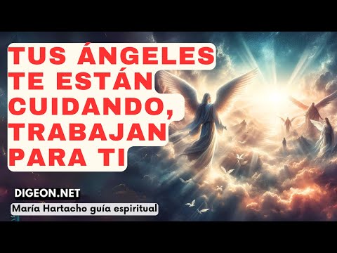 LOS ÁNGELES TE FAVORECENMENSAJE DE LOS ÁNGELES PARA TI -DIGEON- Arcángel Gabriel - Enseñanza VERTI