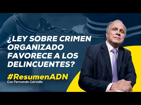 Controversia entorno a ley que modificó tipificación de crimen organizado #RESUMENADN