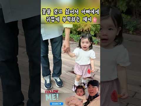 꽃을 갖고 싶어서 아빠에게  귀엽게 부탁하는 재이🌸#박수홍#<strong>김다예</strong>#재이#Park Soo-hong#Kim Da-ye #jaei