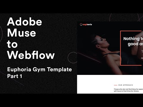 Adobe Muse to Webflow | Rebuilding Europhia Gym Template in Webflow Part 1